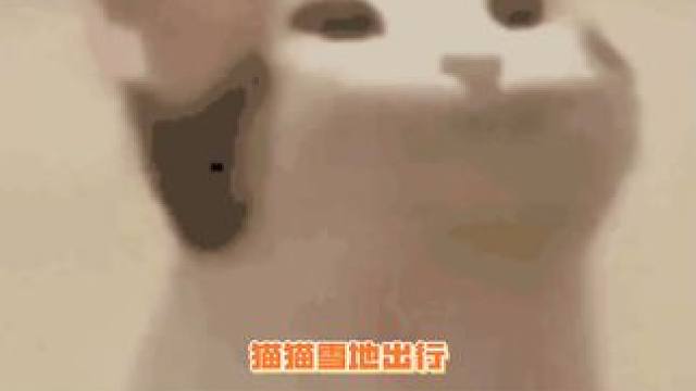 虽然很谨慎，但是怎么走得不太聪明的样子哈哈哈