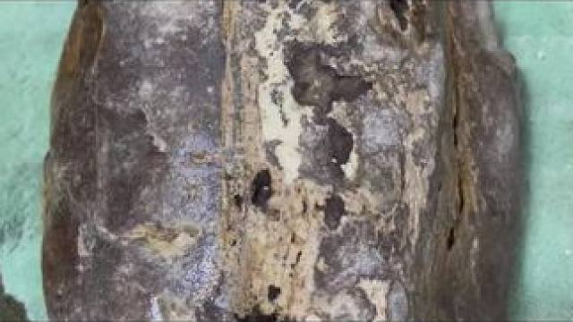 我发布了一个新视频，快来围观吧！