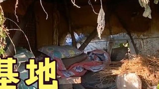 老鼠族都住在纸皮房，住里面能遮风挡雨，一辈子不用交房租 #桥洞大神 #野外生存 #流浪大神 #我要做