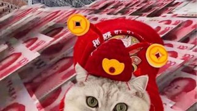 接好运，迎财神#接福接财接好运 #招财猫