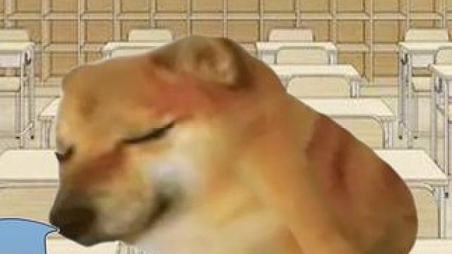 课间十分钟的各种人#每日一笑 #意想不到的结局 #校园