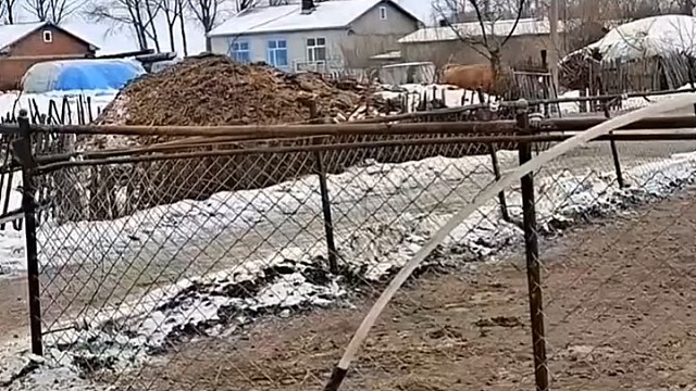 不要卖了，牛通人性。留下吧。