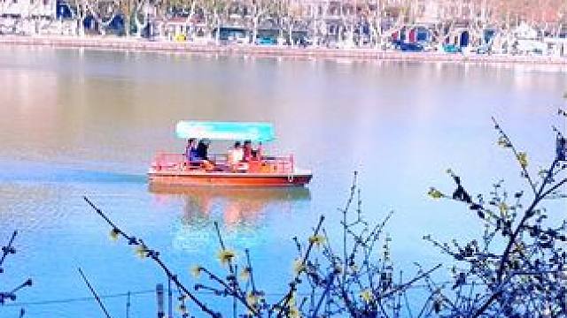 众芳摇落独暄妍，占尽风情向小园。
疏影横斜水清浅，暗香浮动月黄昏。
霜禽欲下先偷眼，粉蝶如知合断魂。