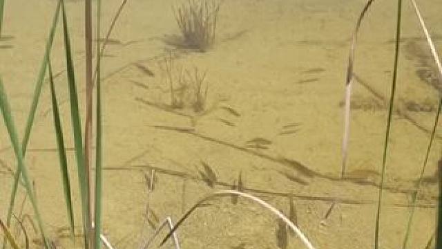 难得一见的画面~