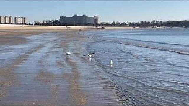 #这是冬天海边的颜色 #海风追潮汐 #海边随拍 #吹吹风散散心 #捕捉身边的美