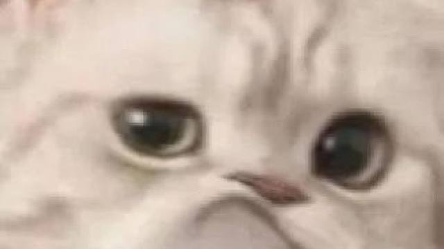 惊喜来的很突然，还好我把握住了#iPhone #iwatch  #ipad