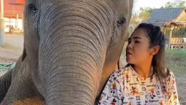 动物的迷惑行为~