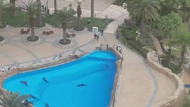 我发布了一个新视频，快来围观吧！