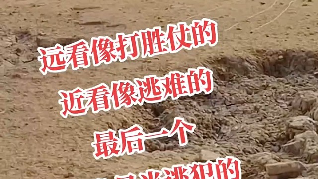 谁能告诉我，它们经历了什么