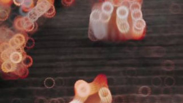 是不是像极了你八年的率土历程？你看着之前玩率土的自己你想对他说些什么？#率土之滨 #率土星推计划 #