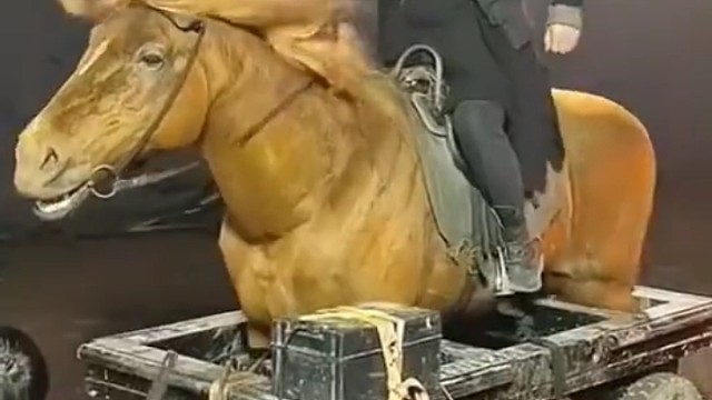 这个假马 看起来好真