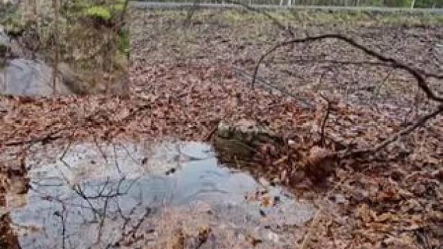 我发布了一个新视频，快来围观吧！