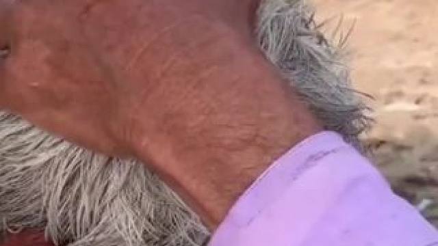 我发布了一个新视频，快来围观吧！