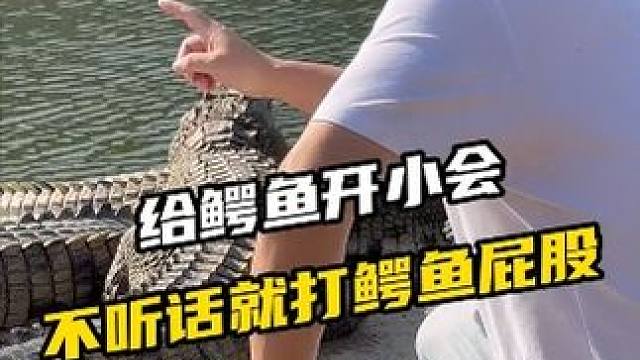 兄弟们来打个鳄鱼屁股 #每日一拍 #惊险瞬间