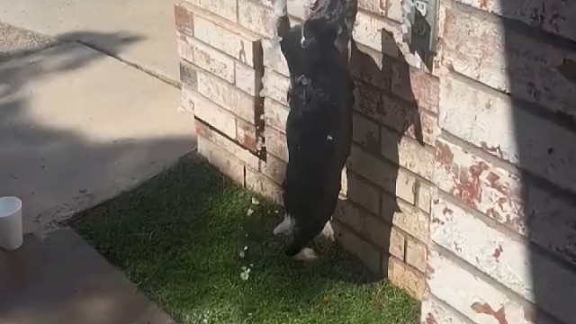 刚在想事情太投入了[笑cry]