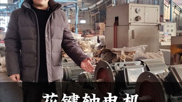 花键轴电机为山东一家减速机厂定制。