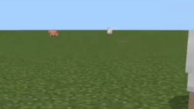 #Minecraft #我的世界