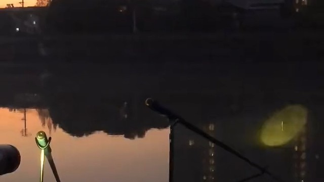 人在烦恼时可以选择一起钓个鱼。