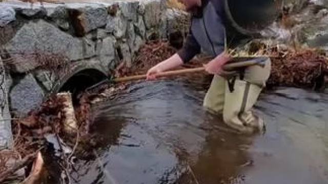 我发布了一个新视频，快来围观吧！