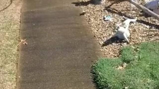 我发布了一个新视频，快来围观吧！