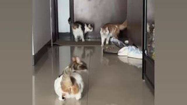 我发布了一个新视频，快来围观吧！