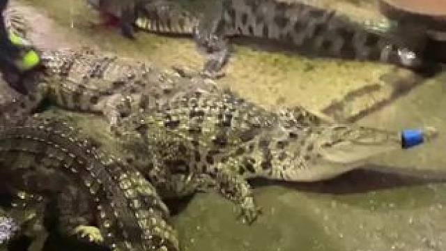 我发布了一个新视频，快来围观吧！