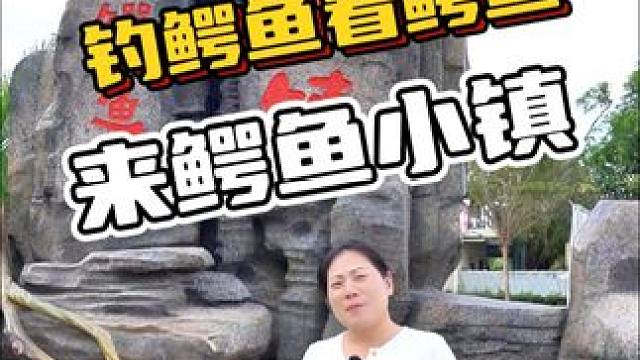 钓鳄鱼看鳄鱼，来鳄鱼小镇#鳄鱼 #鳄珍 #鳄鱼与牙签鸟