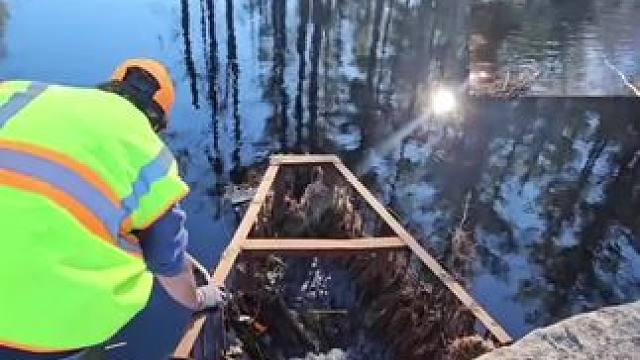 我发布了一个新视频，快来围观吧！