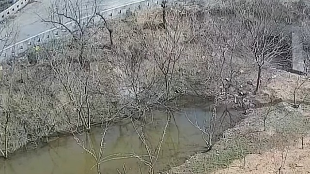 看来实在是刹不住了