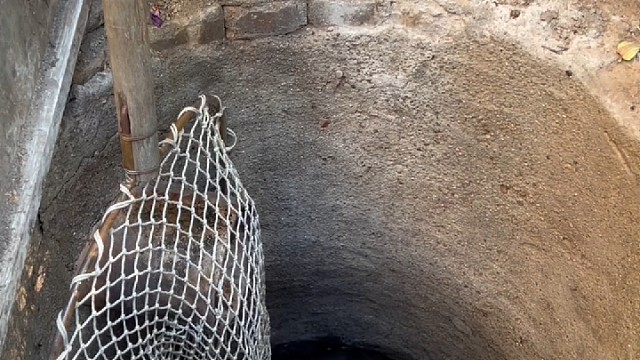 这正是应了那句话，猫有九条命啊