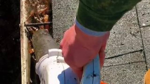 我发布了一个新视频，快来围观吧！