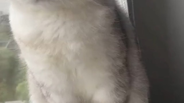 冒昧的家伙你是真的很冒昧