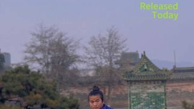 武当逍遥剑#武当功夫 #武当剑