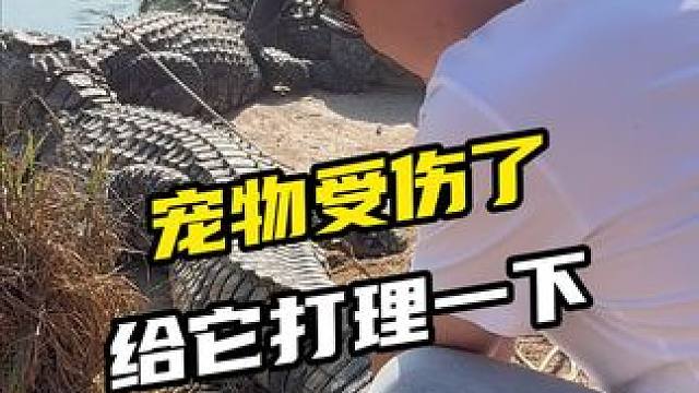 小猫小狗都可以打理打理，我这个也没啥问题吧 #别划走 #记录真实生活