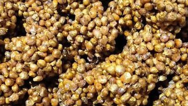 小时候过年前后才能吃到的零食#忘不了的童年味道 #年味统统抖出来