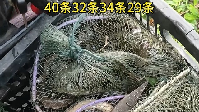 寻找志同道合的朋友