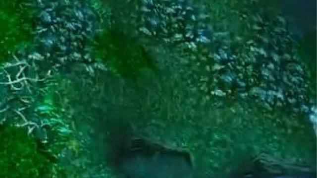 （三）大熊原声大碟，最强发条，史诗级表演秀