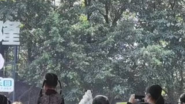 我发布了一个新视频，快来围观吧！