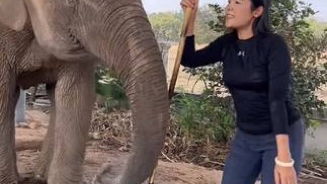 动物的迷惑行为~