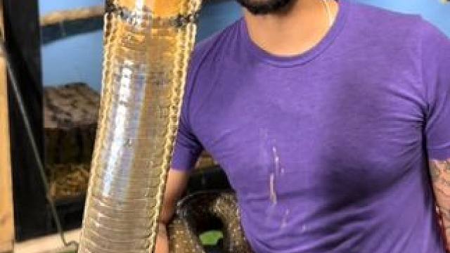 专业动作请勿模仿~