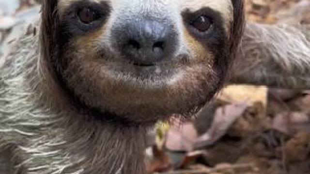 野生动物零距离~