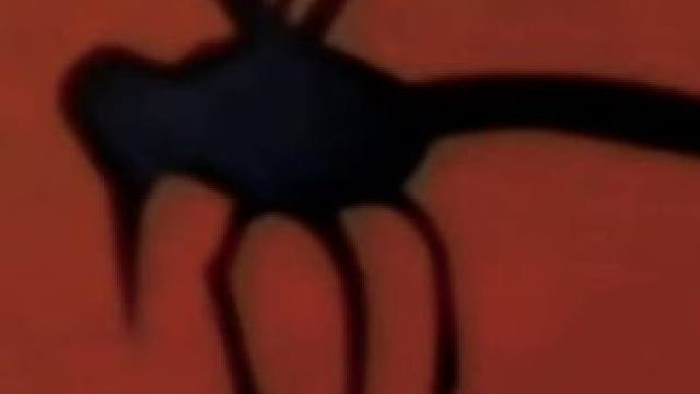 我发布了一个新视频，快来围观吧！