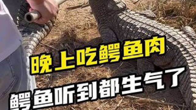 看到最后哦，有惊喜！ #别划走 #记录真实生活