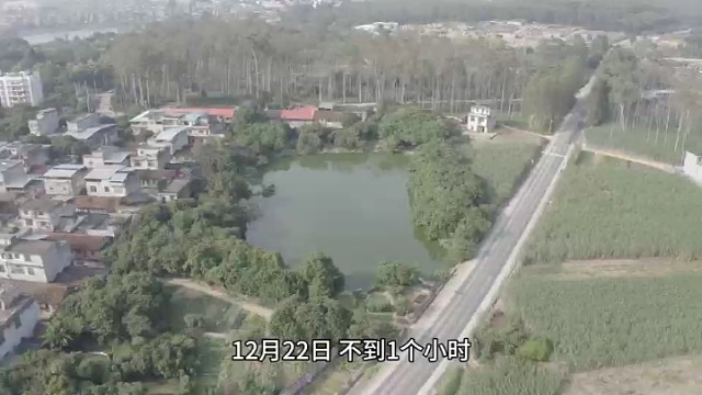 新疆库尔勒香梨出口中亚国家