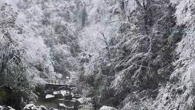 奶奶再爱我一次