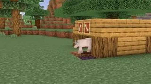 我发布了一个新视频，快来围观吧！