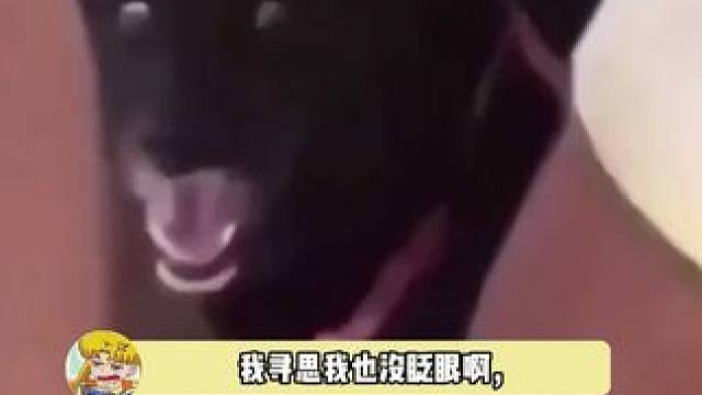 原来小说里把男主小时候当成小女生是真的