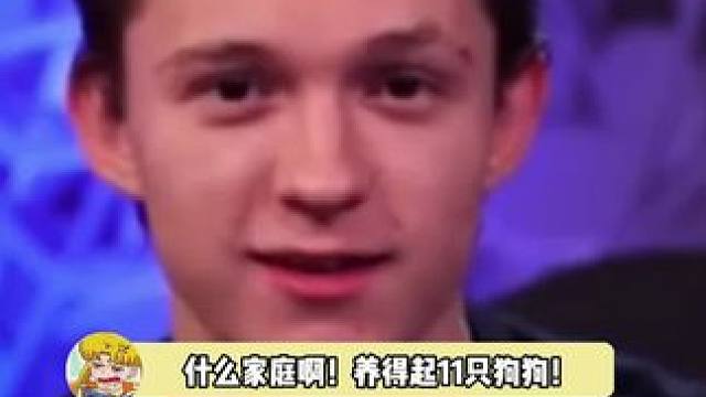 那么多狗狗的屋子，真的会幸福死的