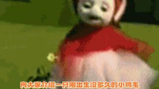 预料到有多可爱，但还是被可爱到啦！