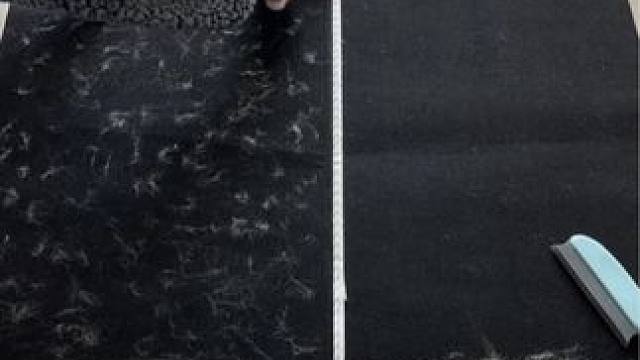 #猫毛解决方案 #粘毛器 #刷毛器